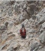 Rob self rescuing after cow's tails tangled with a pulley.