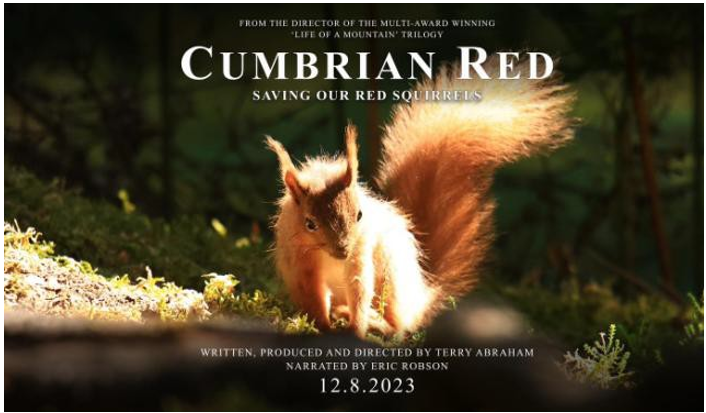 Image of Cumbrian Red Squirrel