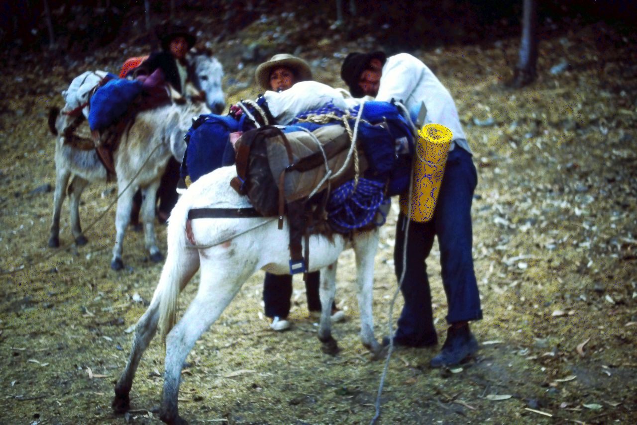 Loading our burros at Cashapampa for the walk in to Alpamayo base camp.